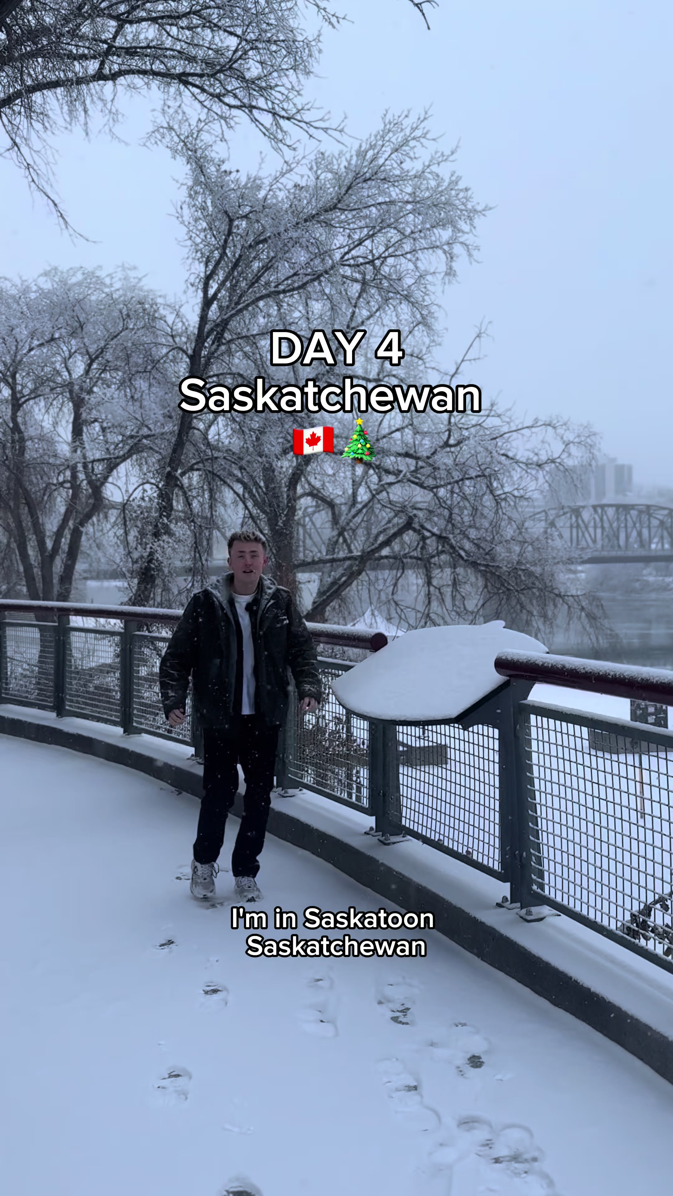Saskatoon Riverbank (Meewasin Valley / Remai Modern area)