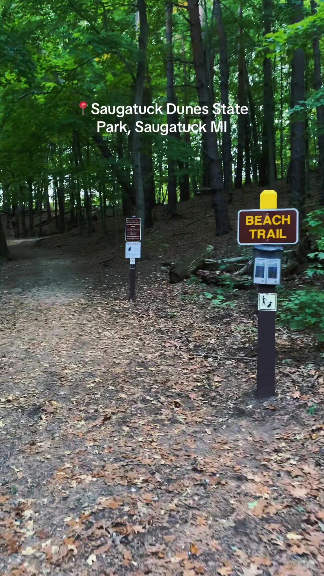 Saugatuck Dunes State Park