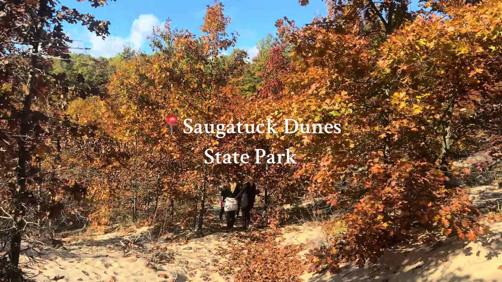 Saugatuck Dunes State Park