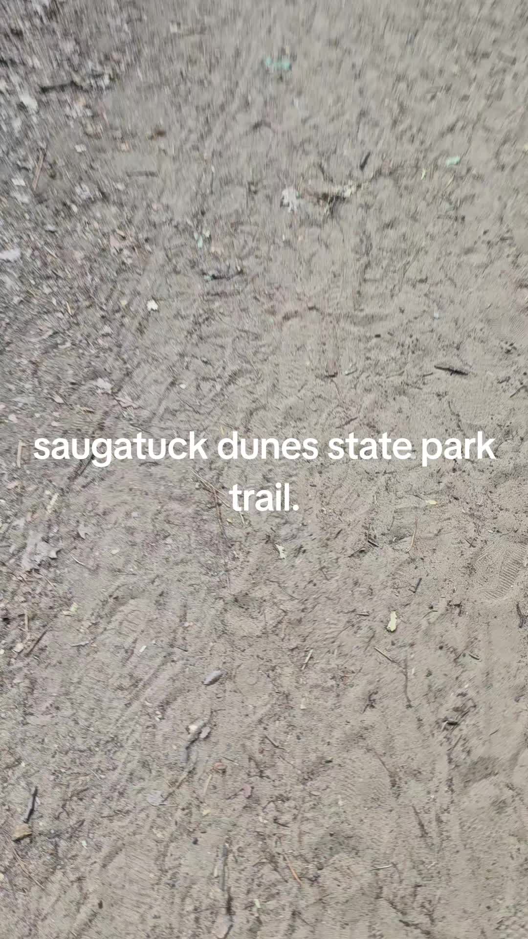 Saugatuck Dunes State Park