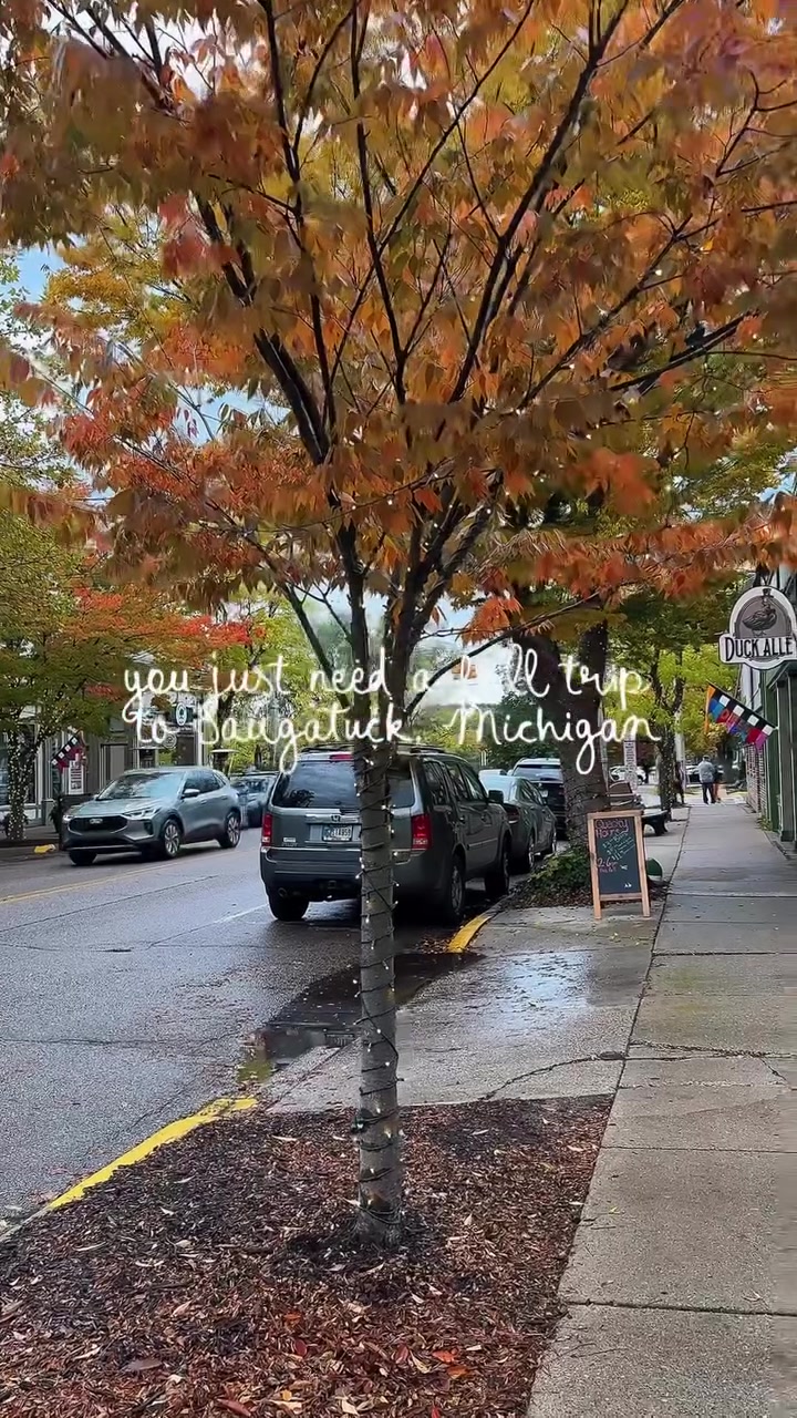 Saugatuck