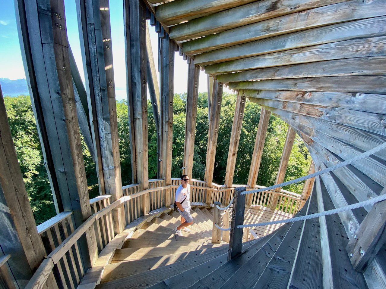 Sauvabelin Tower (Tour de Sauvabelin) and forest