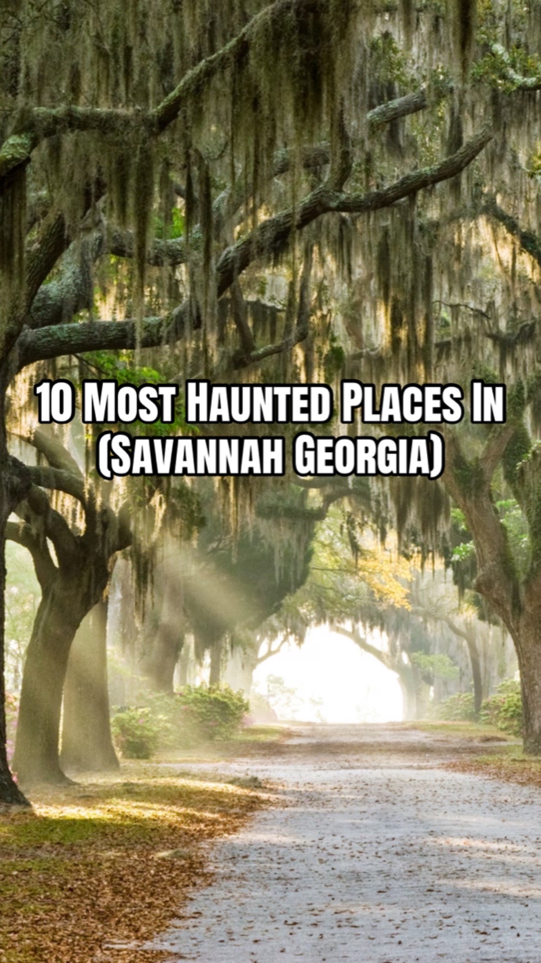 Savannah