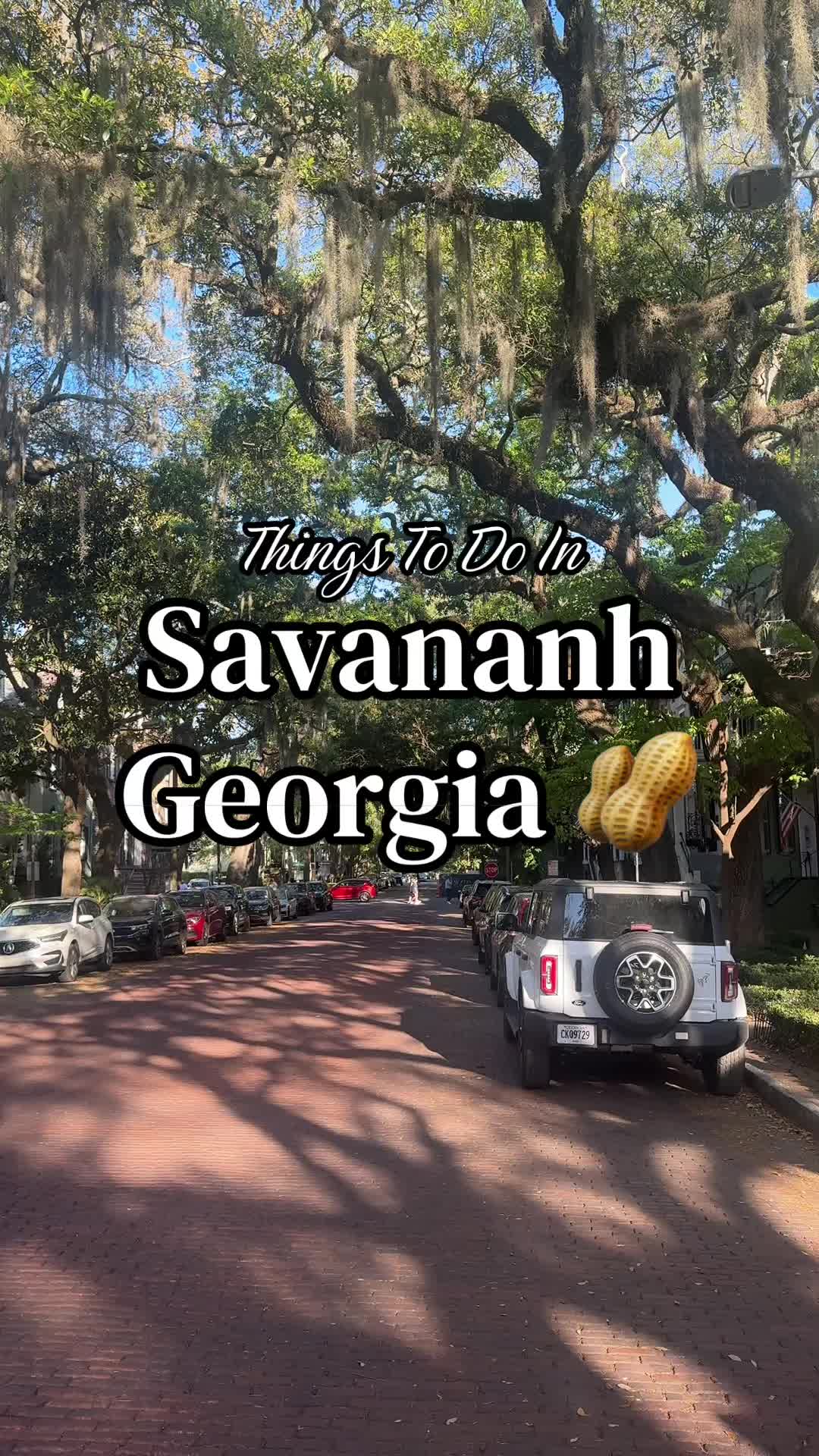 Savannah