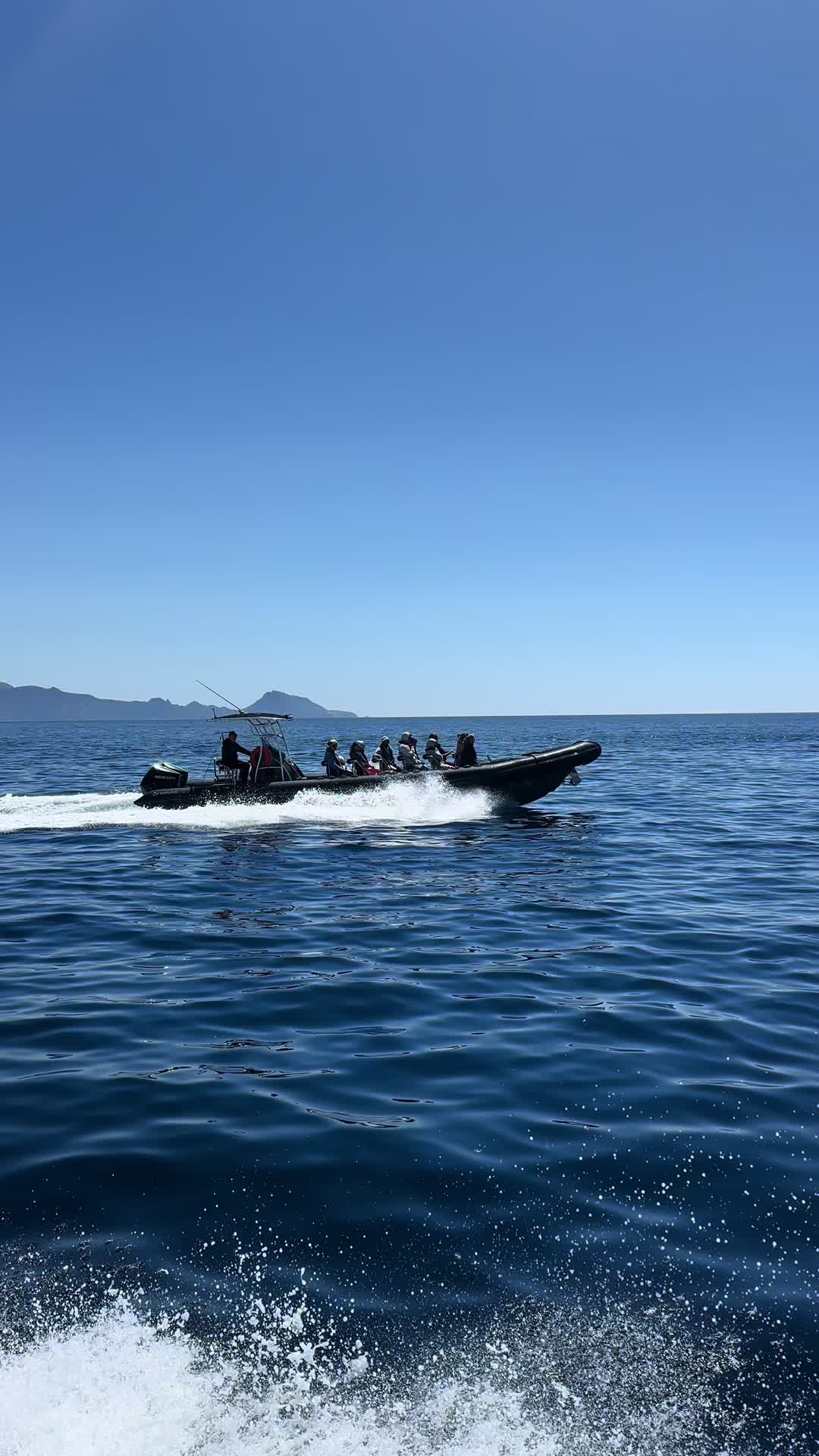 Scandola Nature Reserve