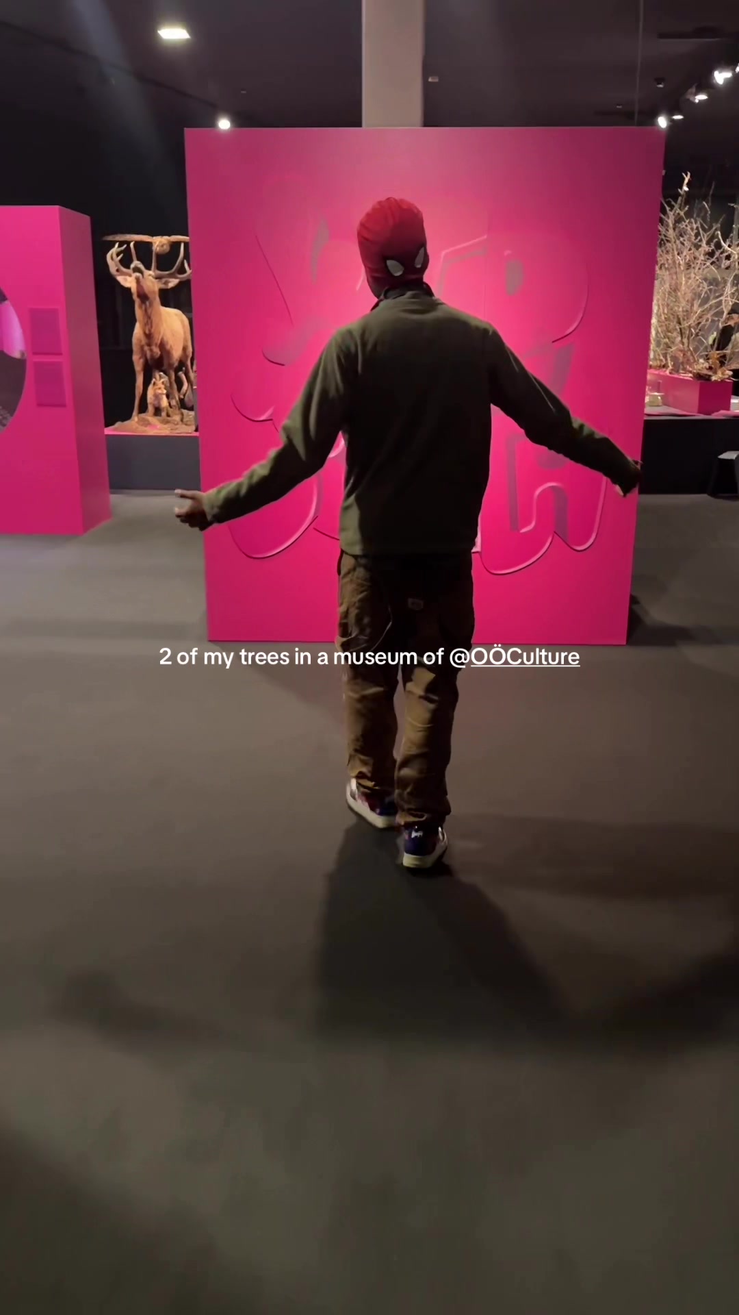 Schlossmuseum Linz