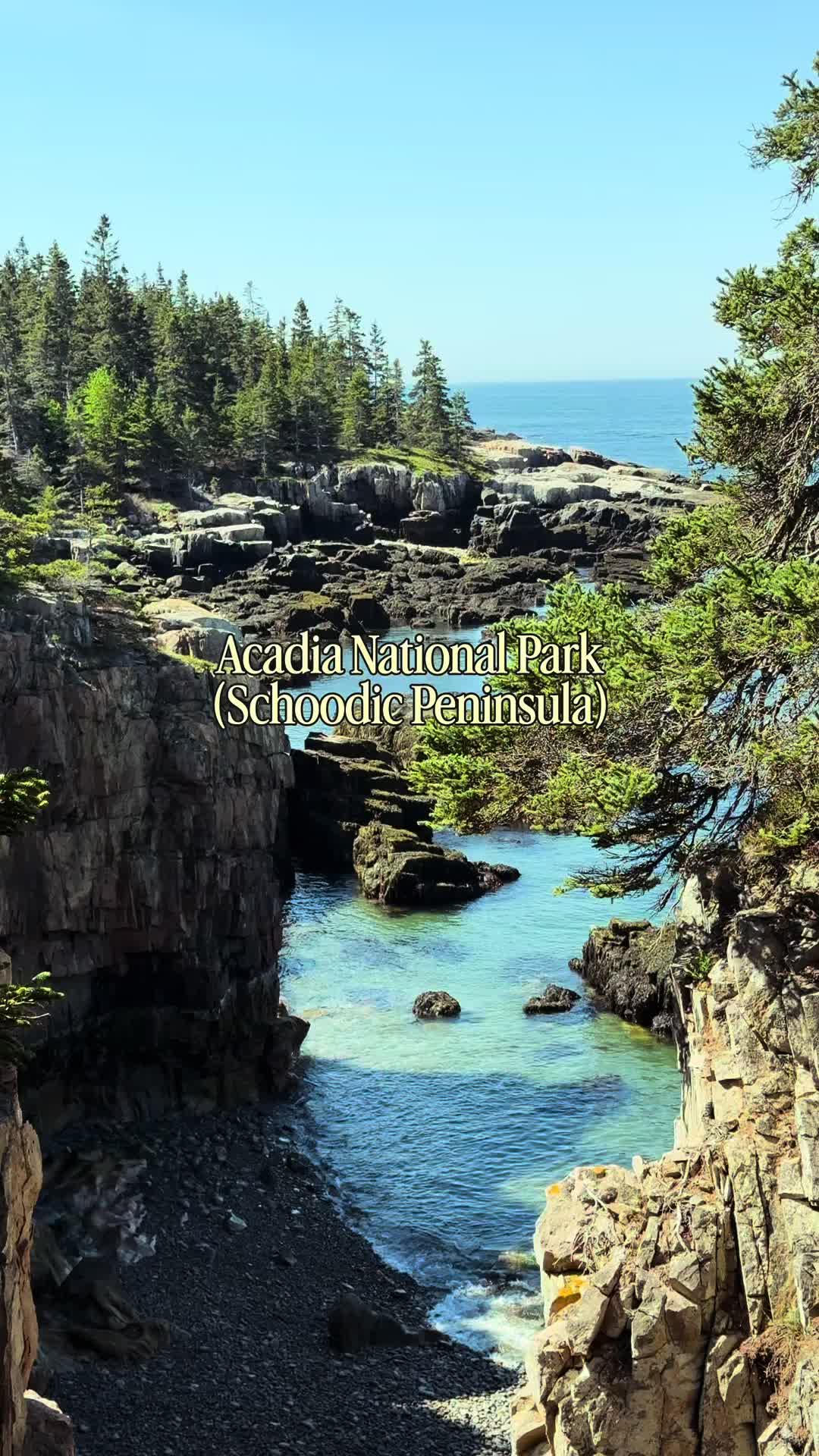 Schoodic Point