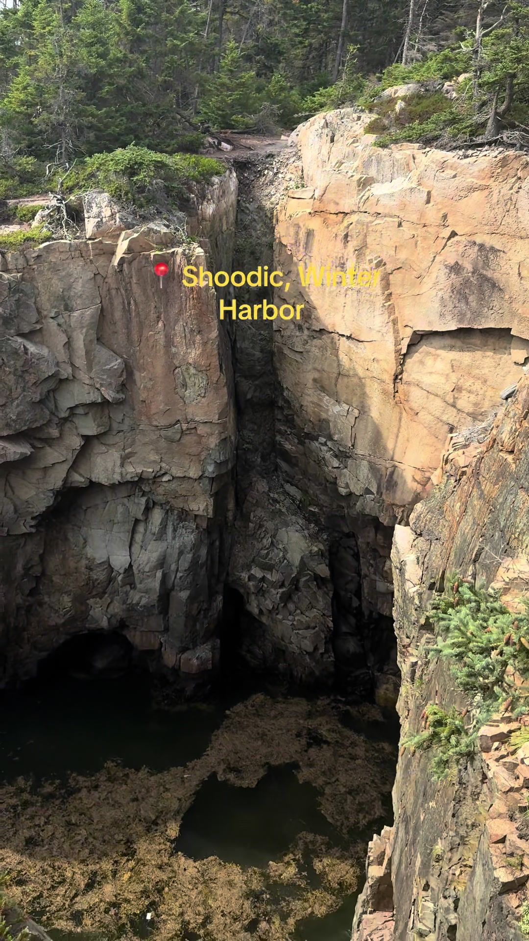 Schoodic Point