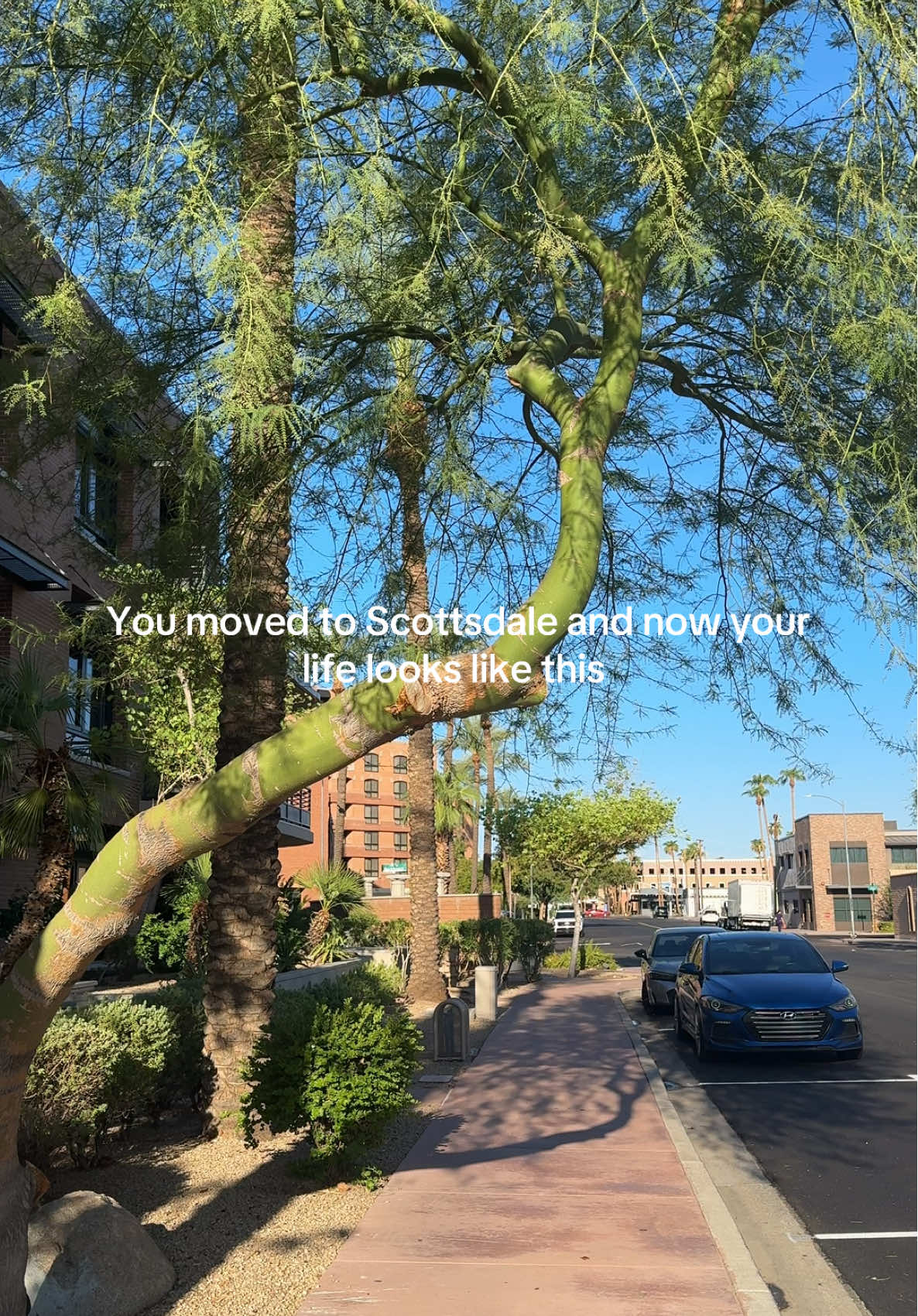 Scottsdale, AZ