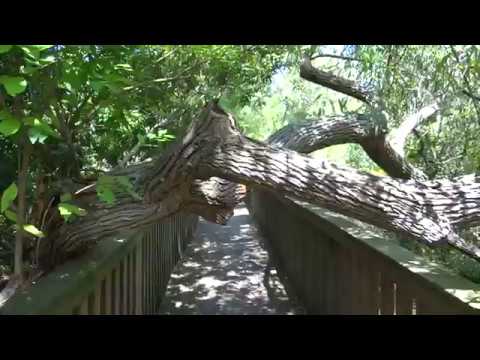 Sea Pines Forest Preserve