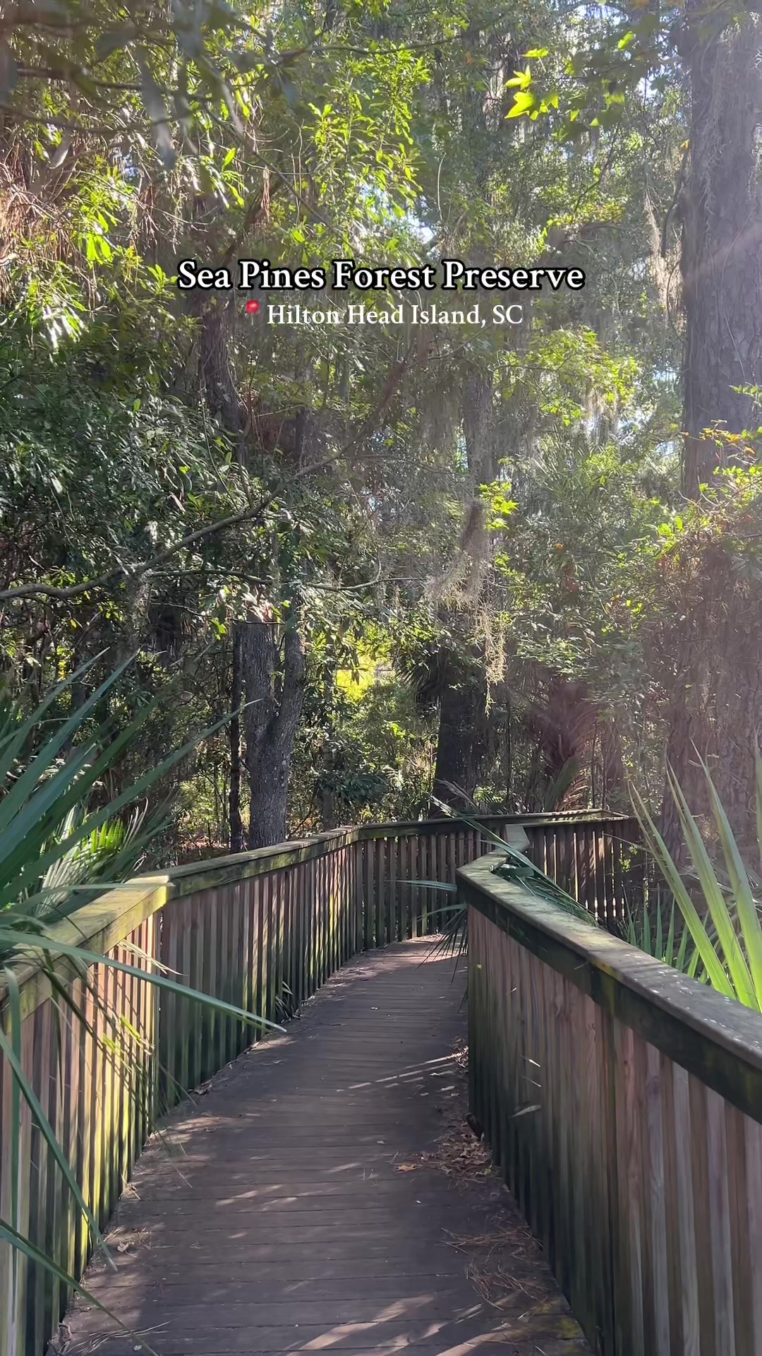 Sea Pines Forest Preserve
