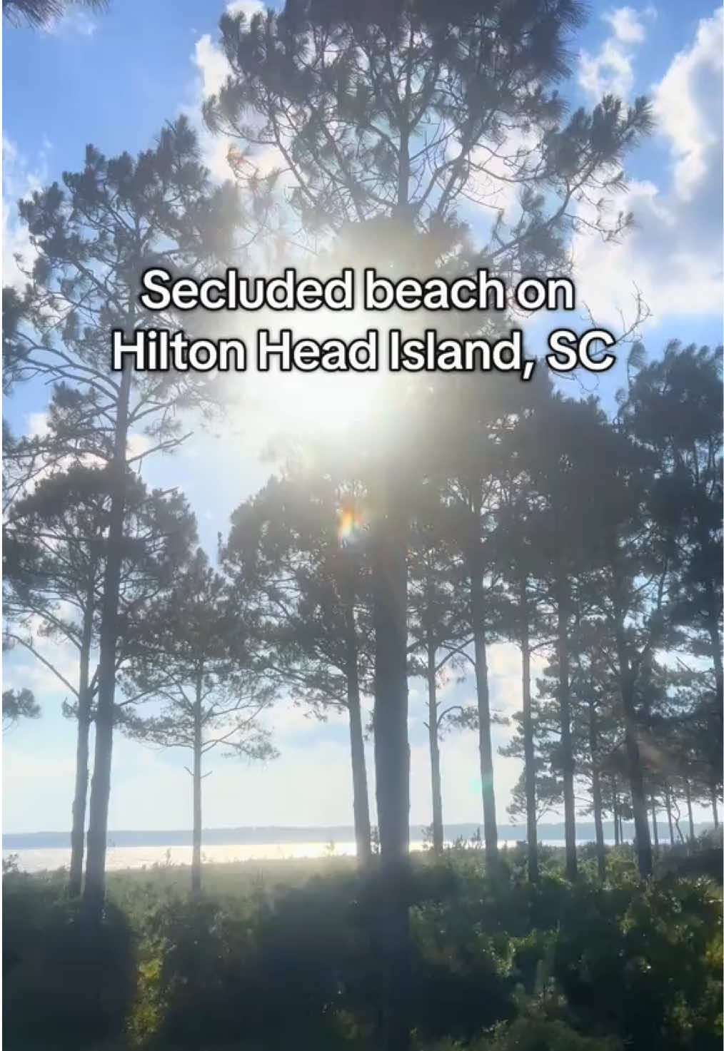 Sea Pines Forest Preserve