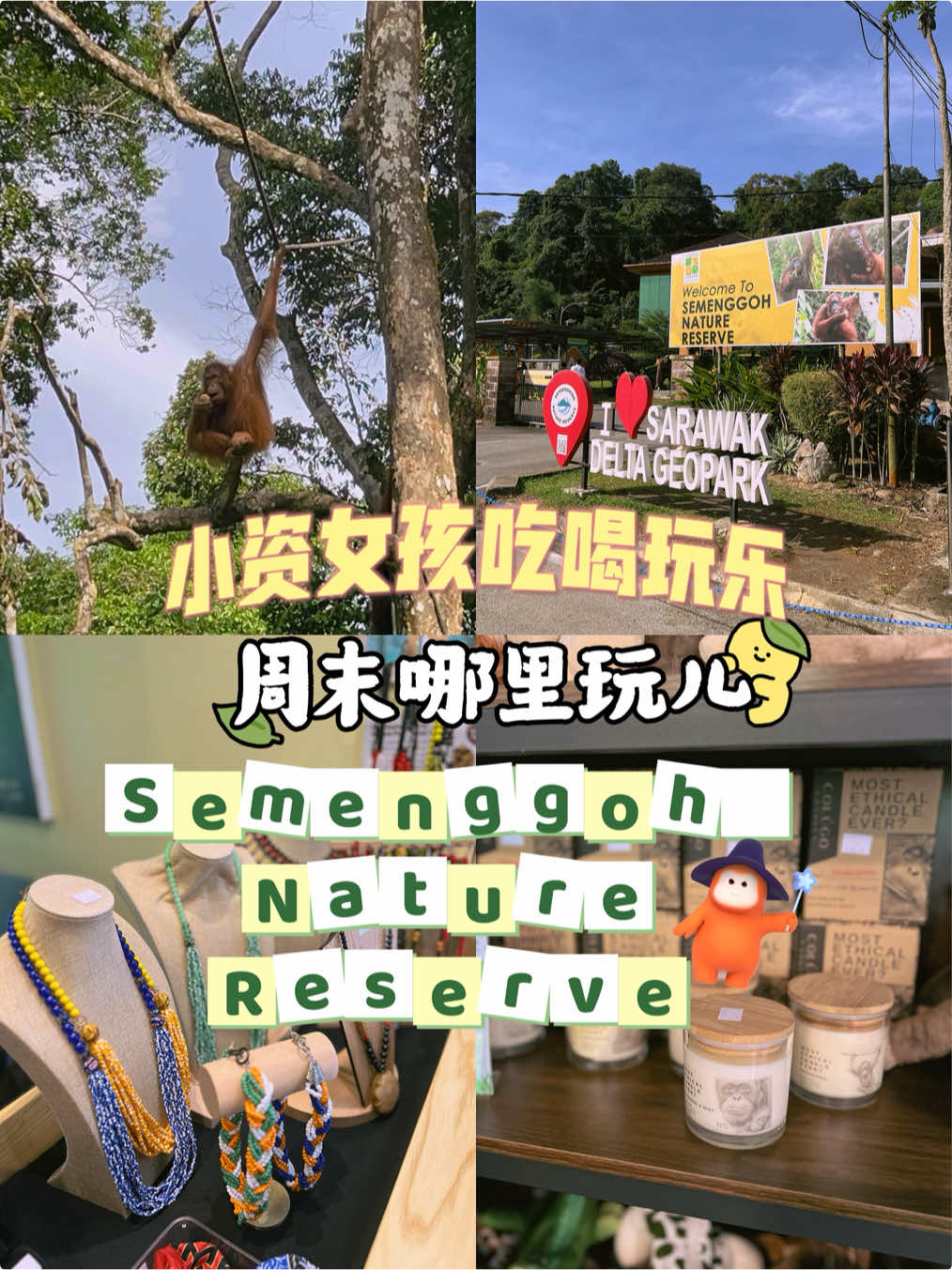 Semenggoh Nature Reserve