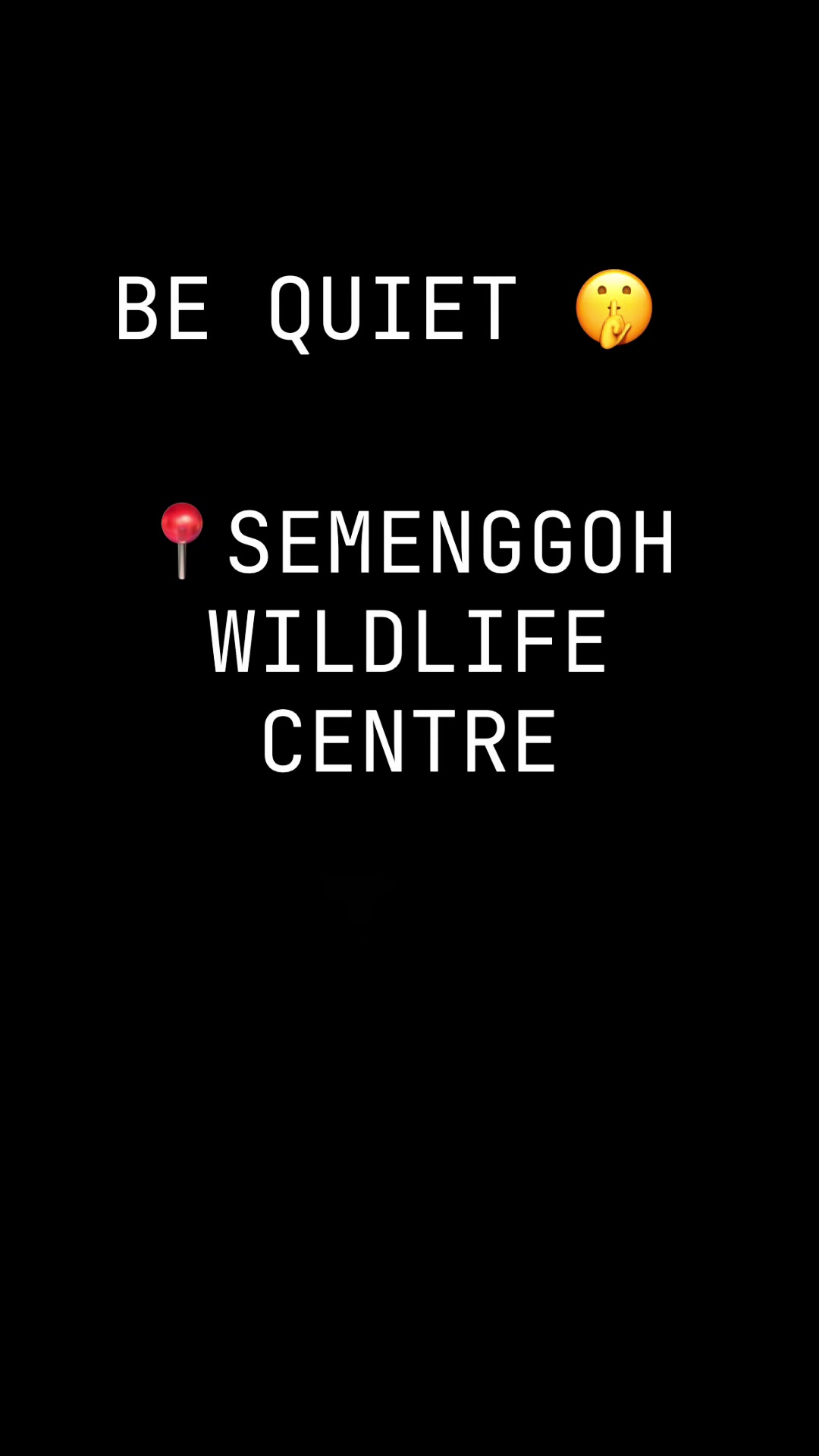 Semenggoh Nature Reserve