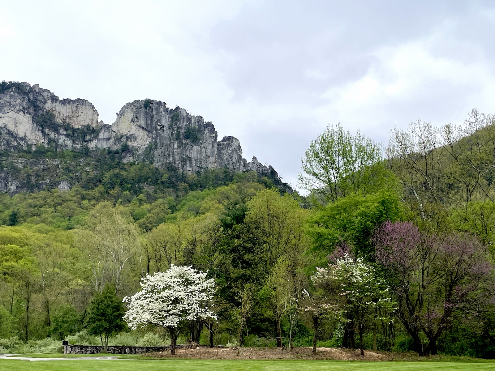 Picture for Seneca Rocks Discovery Center