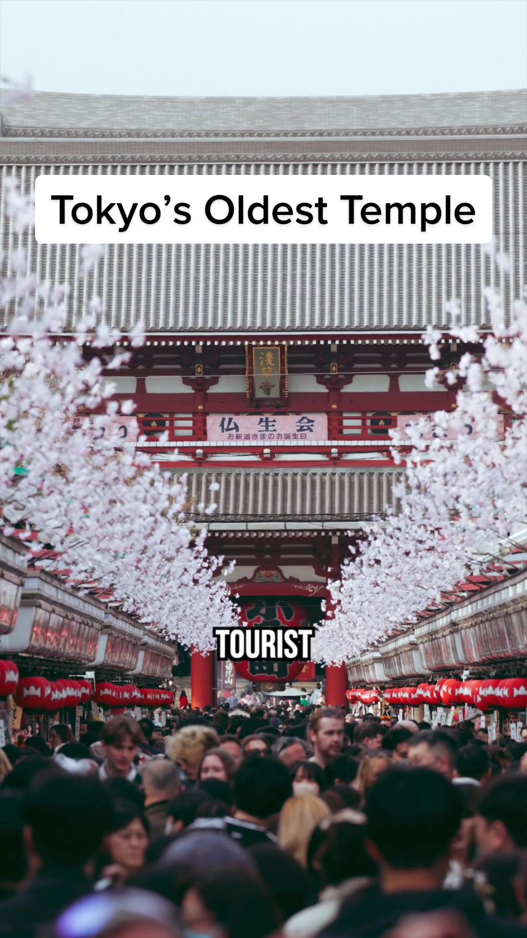 Senso-ji Temple