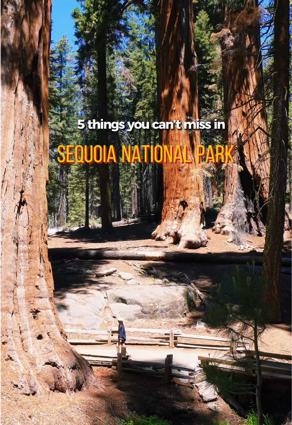 Sequoia National Park