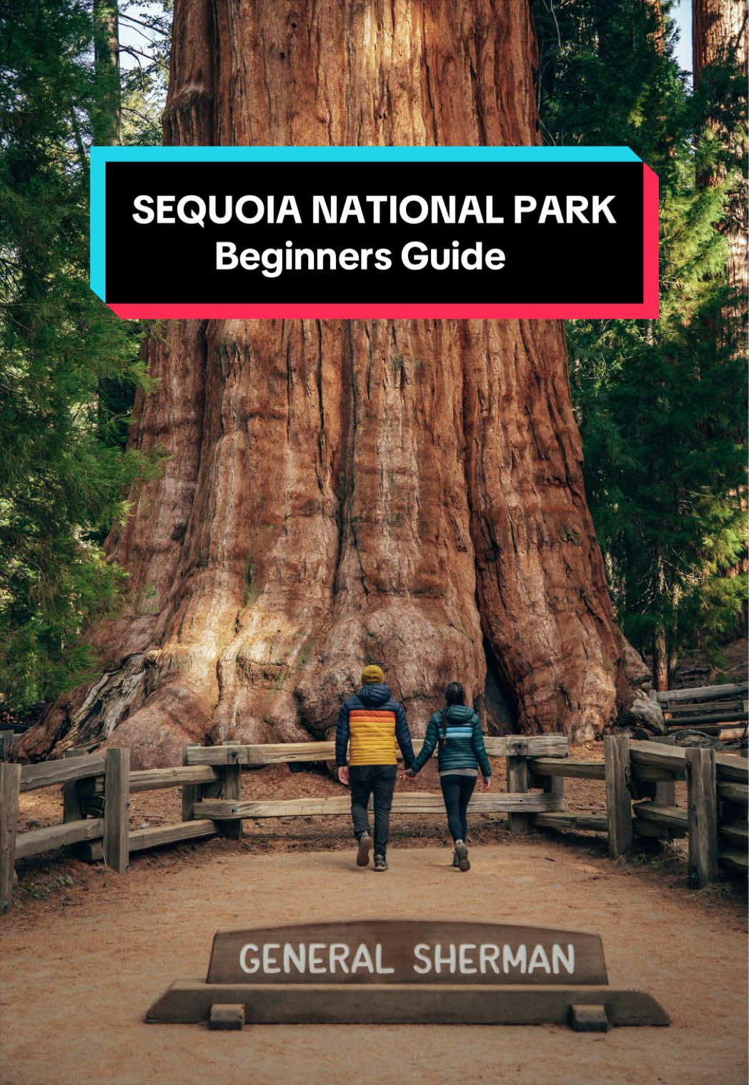 Sequoia National Park