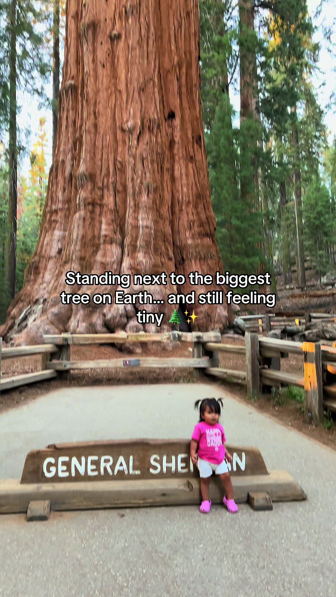Sequoia National Park