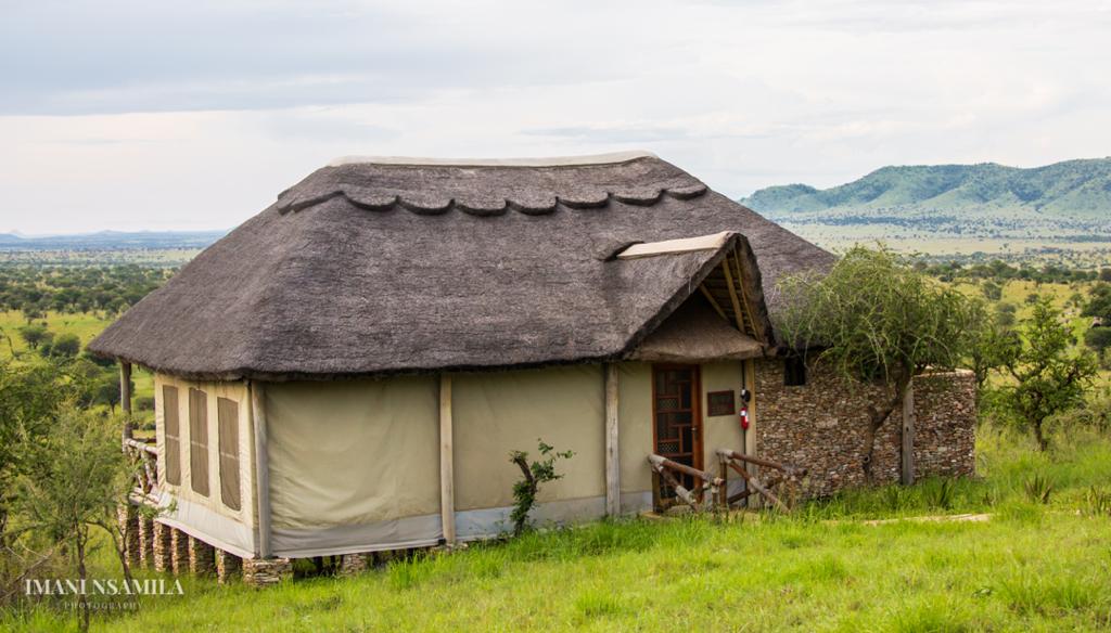 Picture for Serengeti Safari Lodge