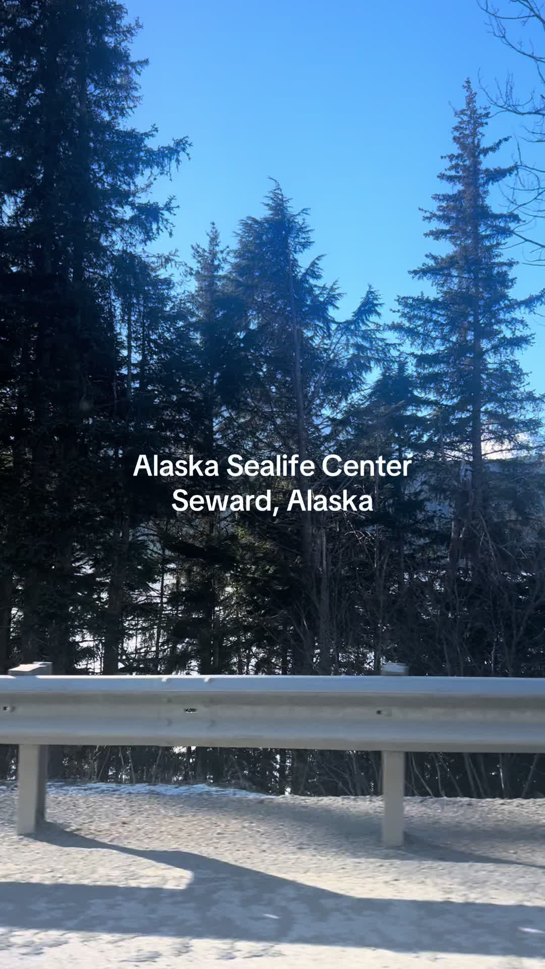 Seward