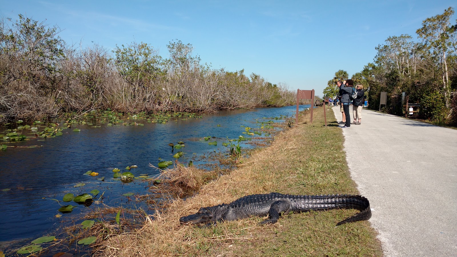 Everglades National Park (Shark Valley)