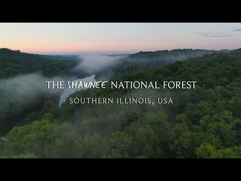 Shawnee National Forest, IL