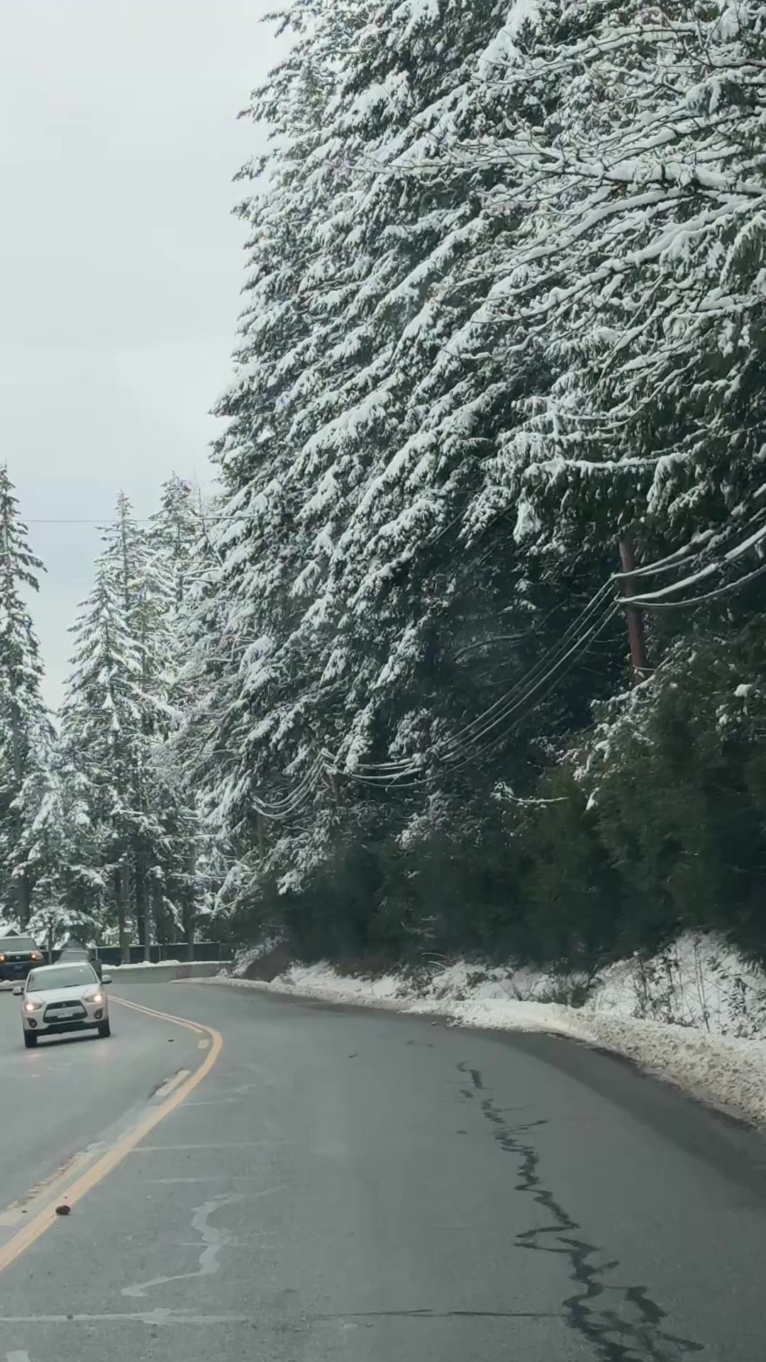 Shawnigan Lake