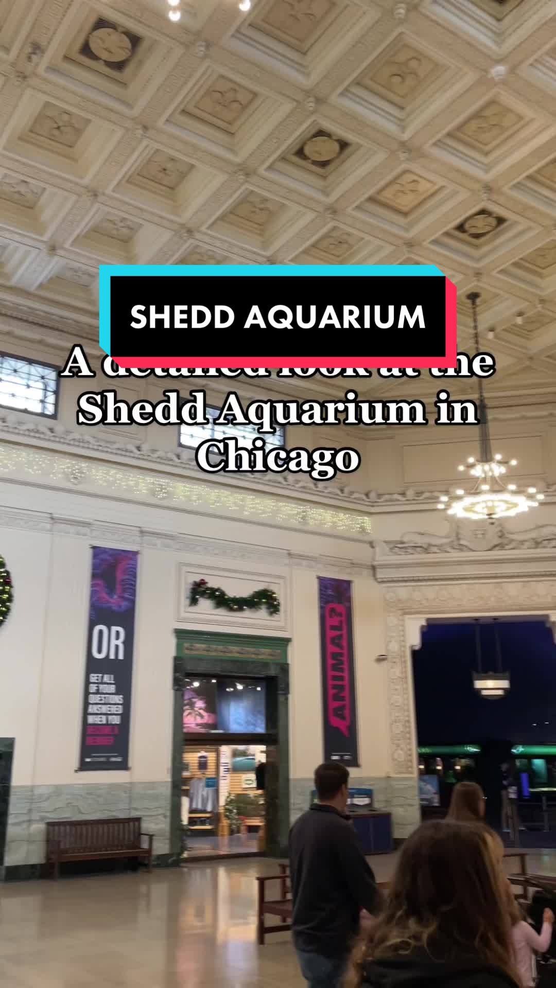 Shedd Aquarium