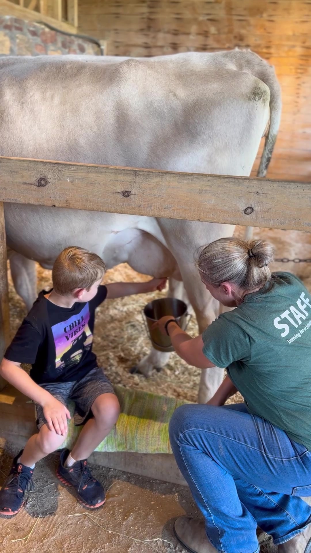 Shelburne Farms
