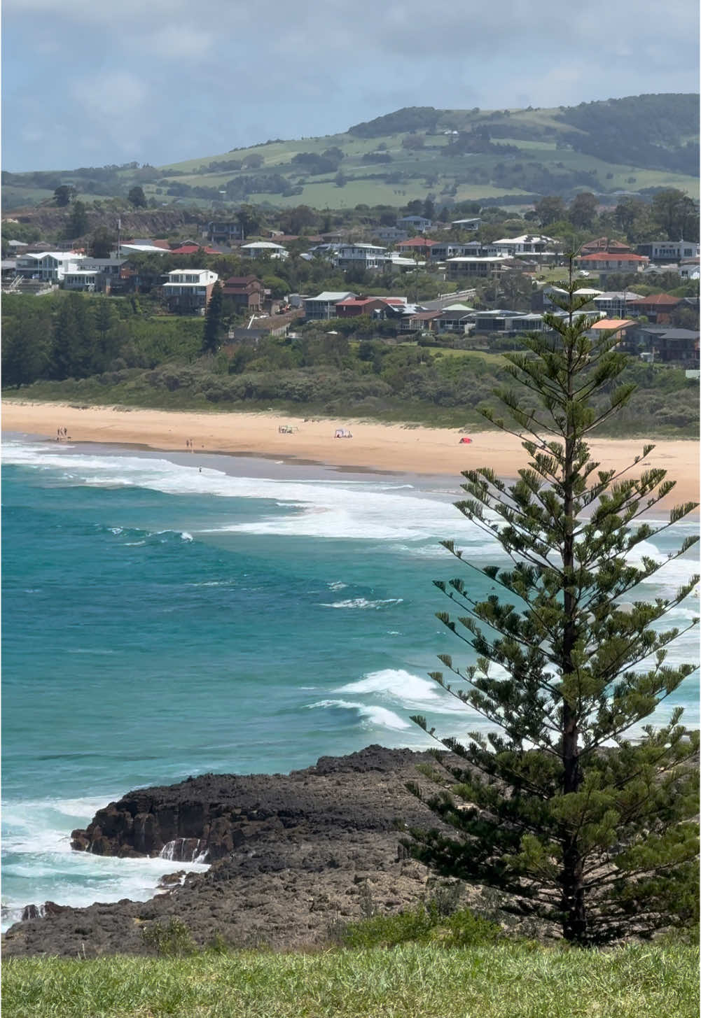Shellharbour