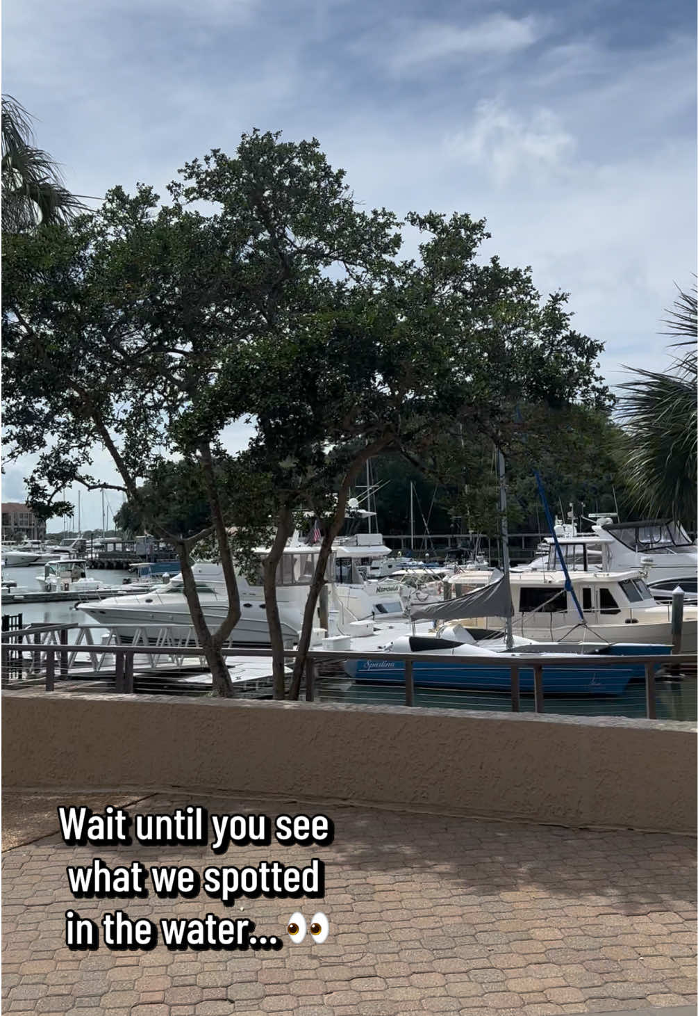 Shelter Cove Marina