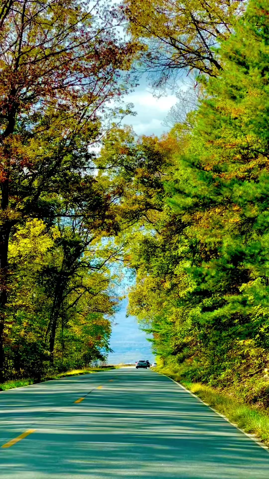 Shenandoah National Park, VA