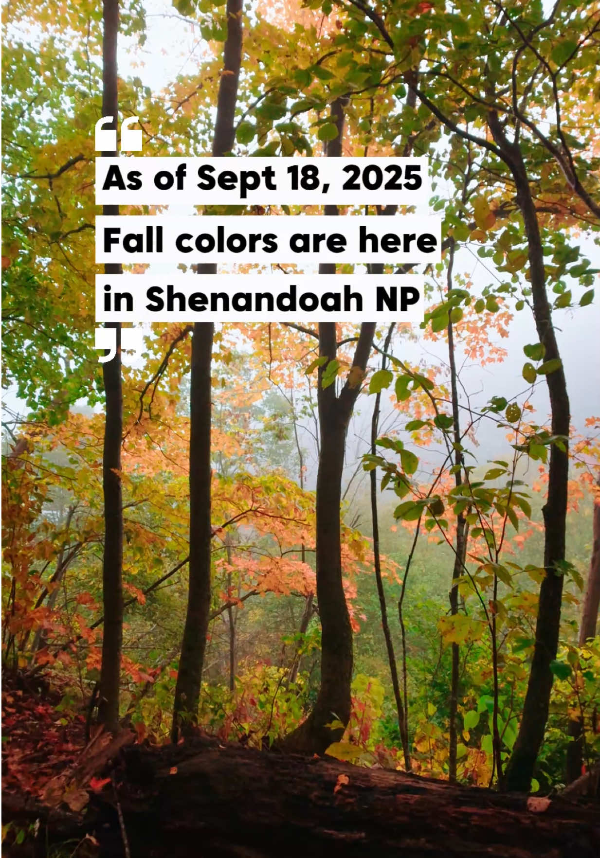 Shenandoah National Park