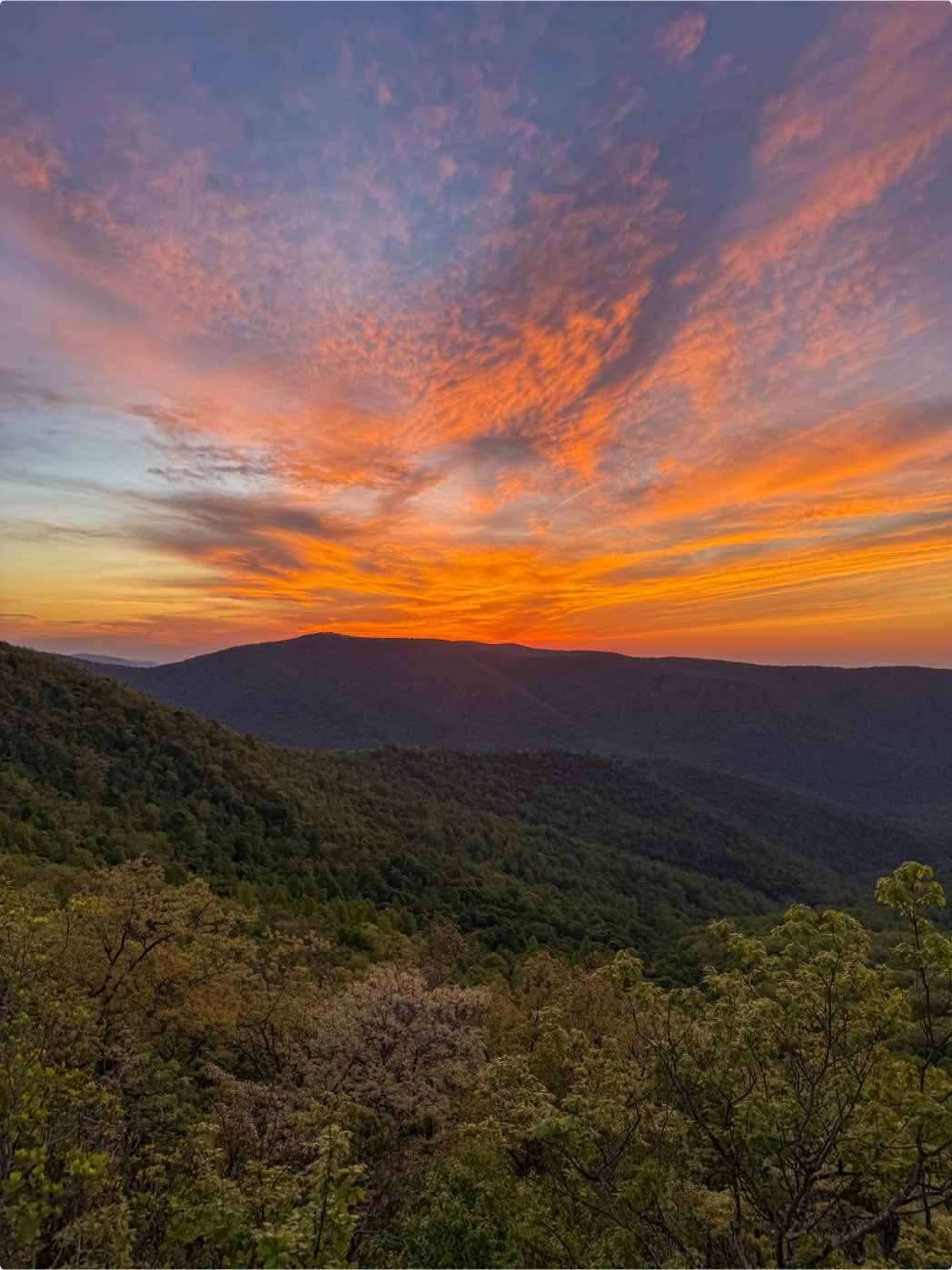 Shenandoah National Park