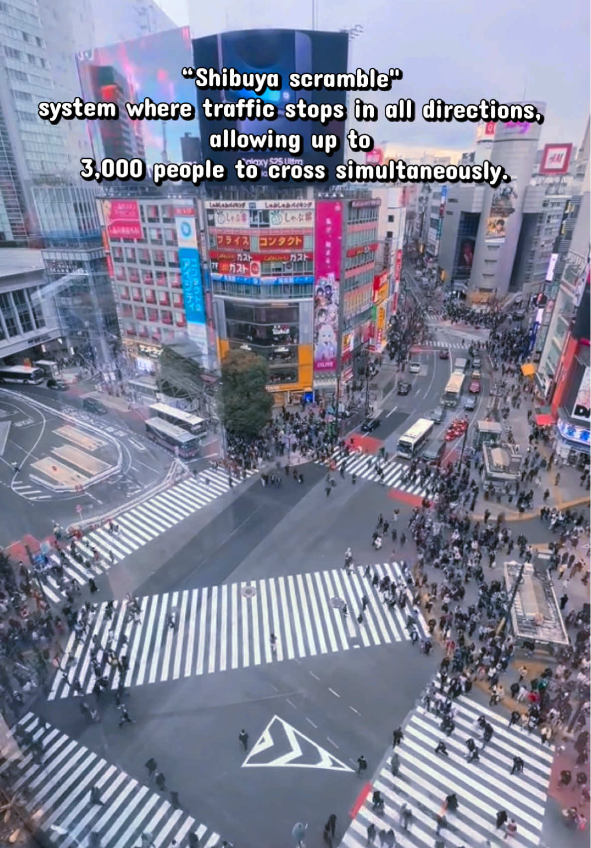 Shibuya Crossing
