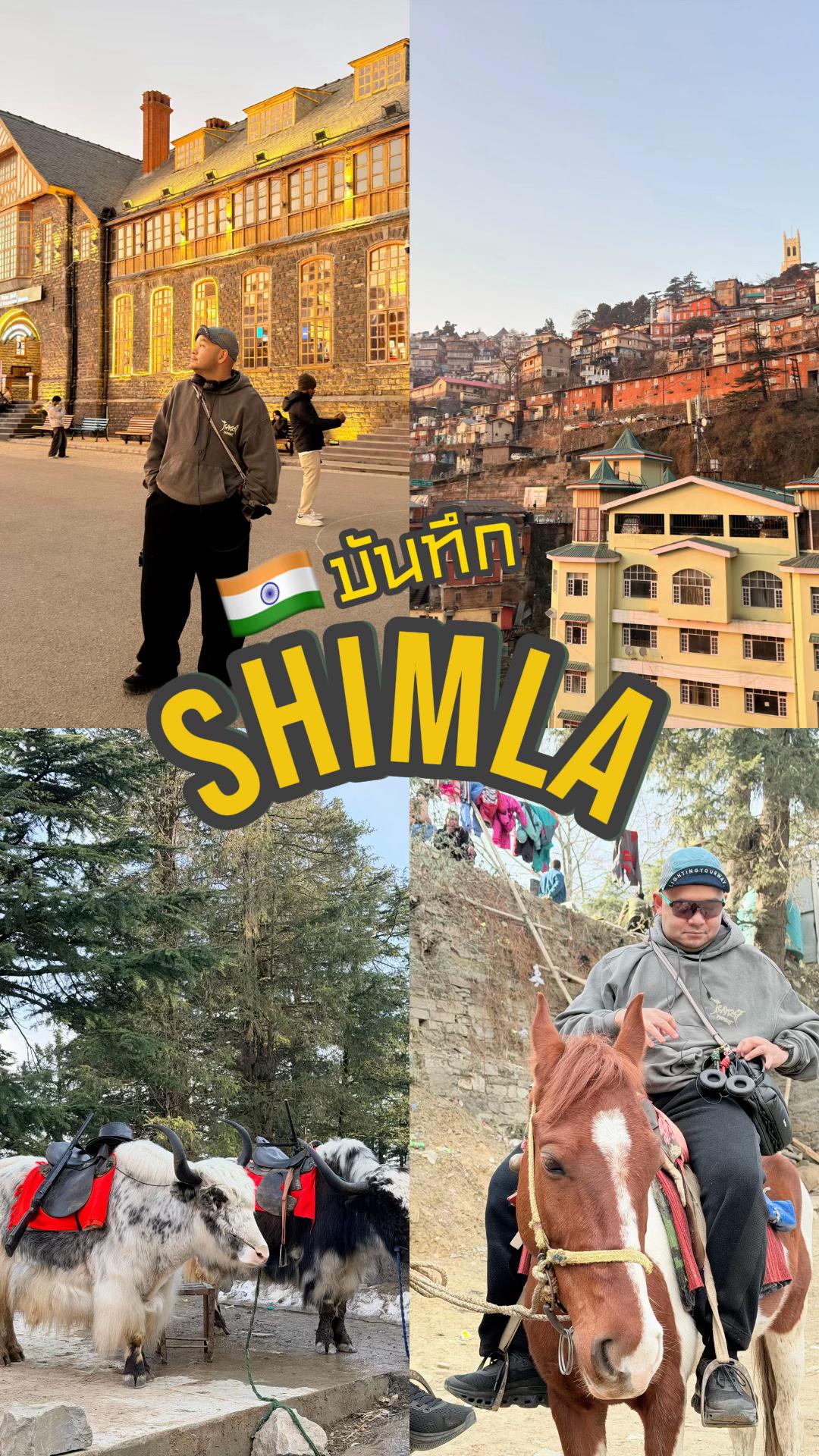 Shimla