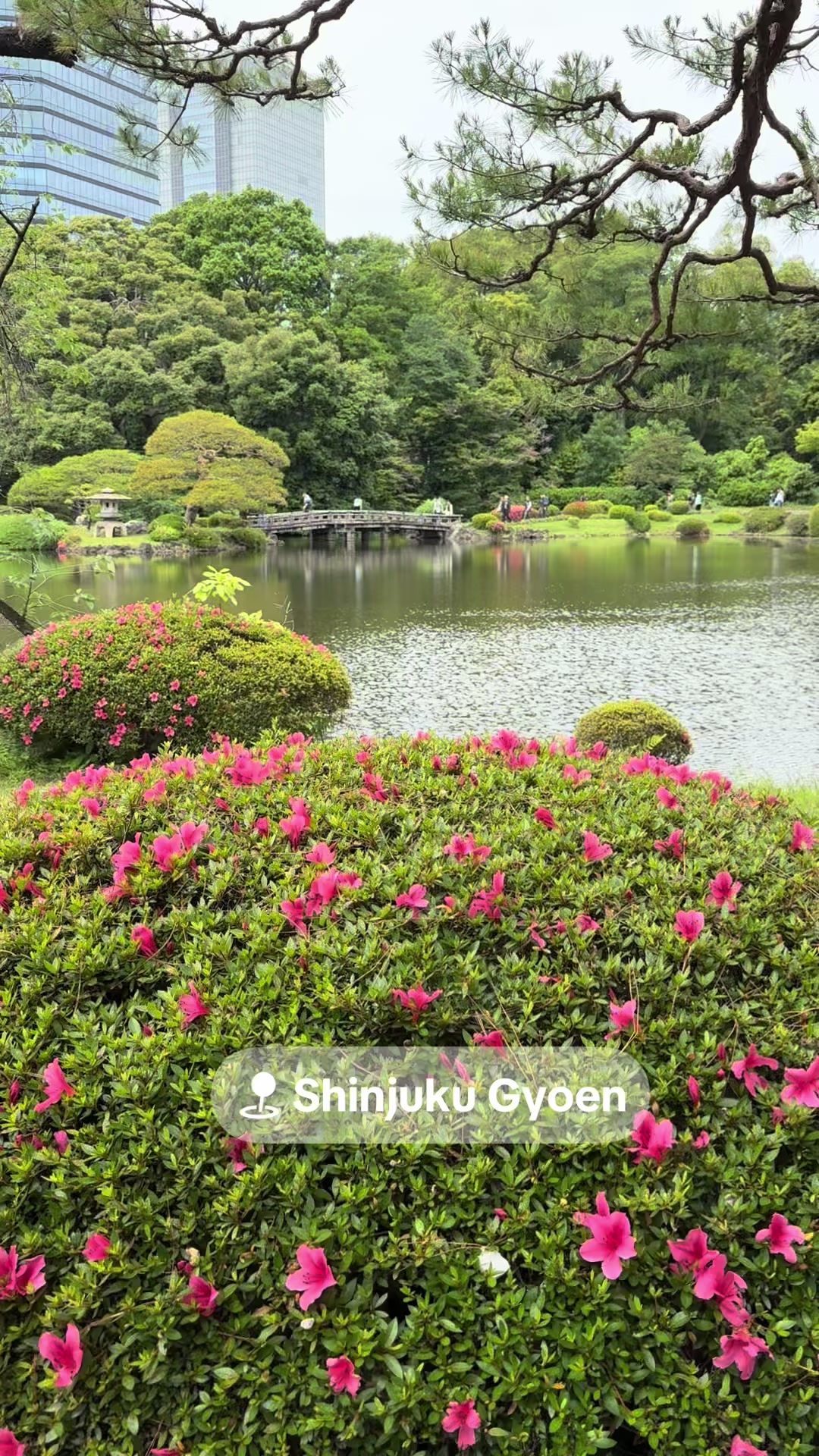 Shinjuku Gyoen National Garden