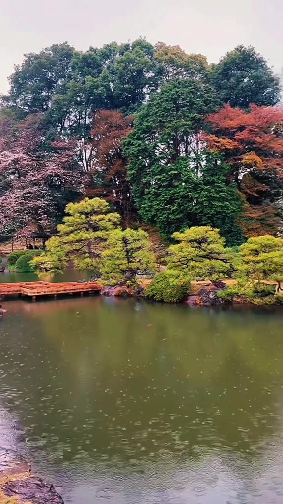 Shinjuku Gyoen National Garden