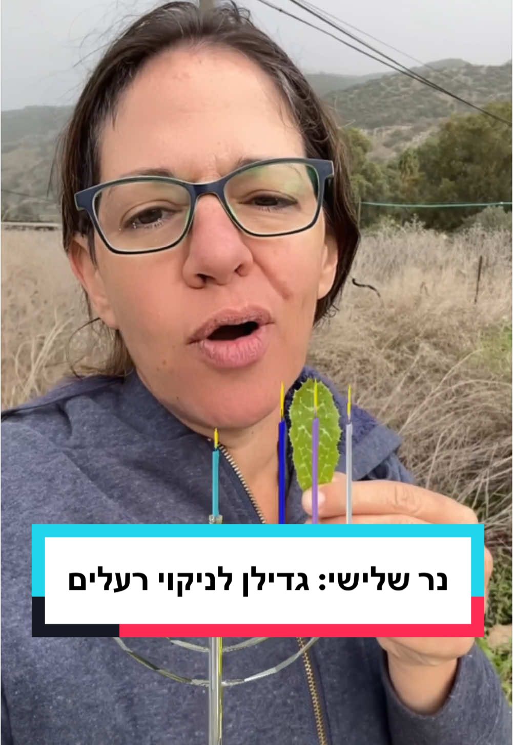 שמורת טבע טארה