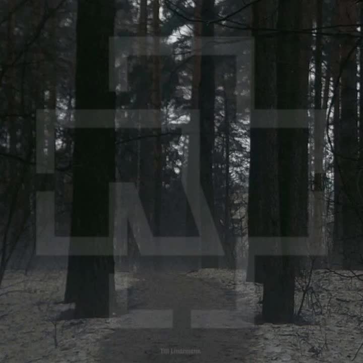 Штайн-ам-Райн