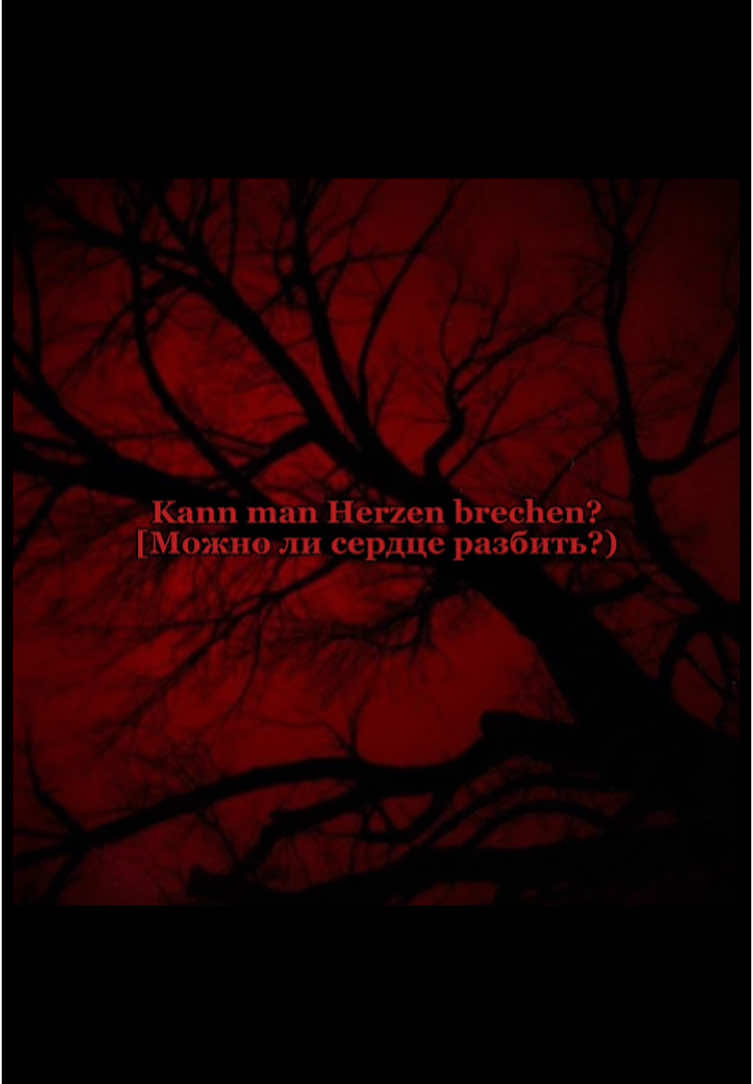 Штайн-ам-Райн