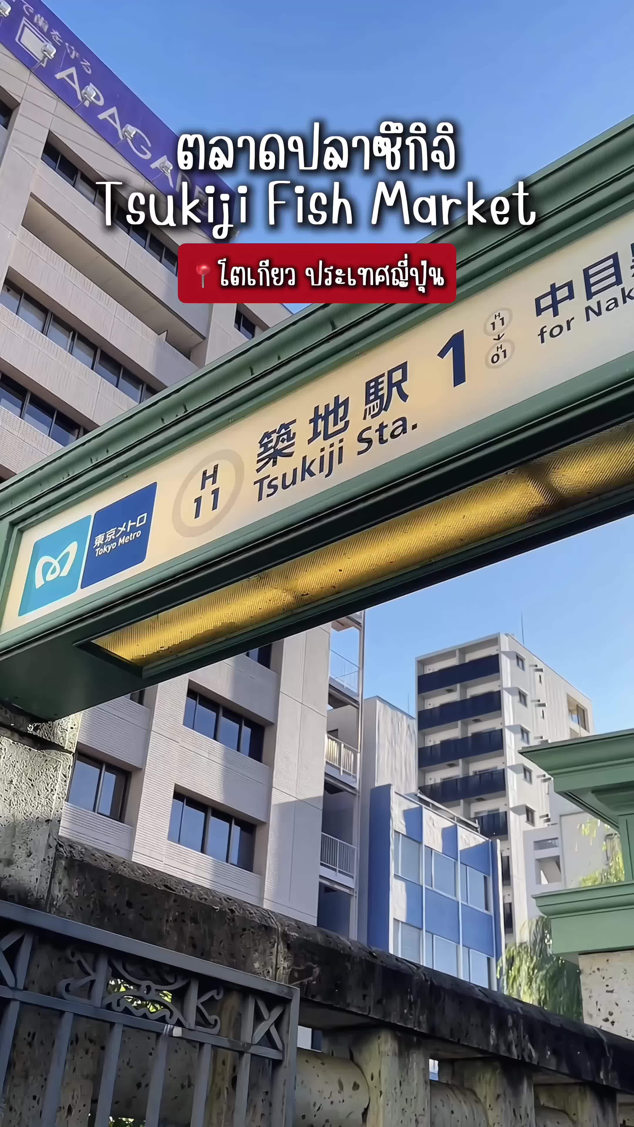 שוק הדגים טסוקיג'י (אזור Tsukiji Outer Market)
