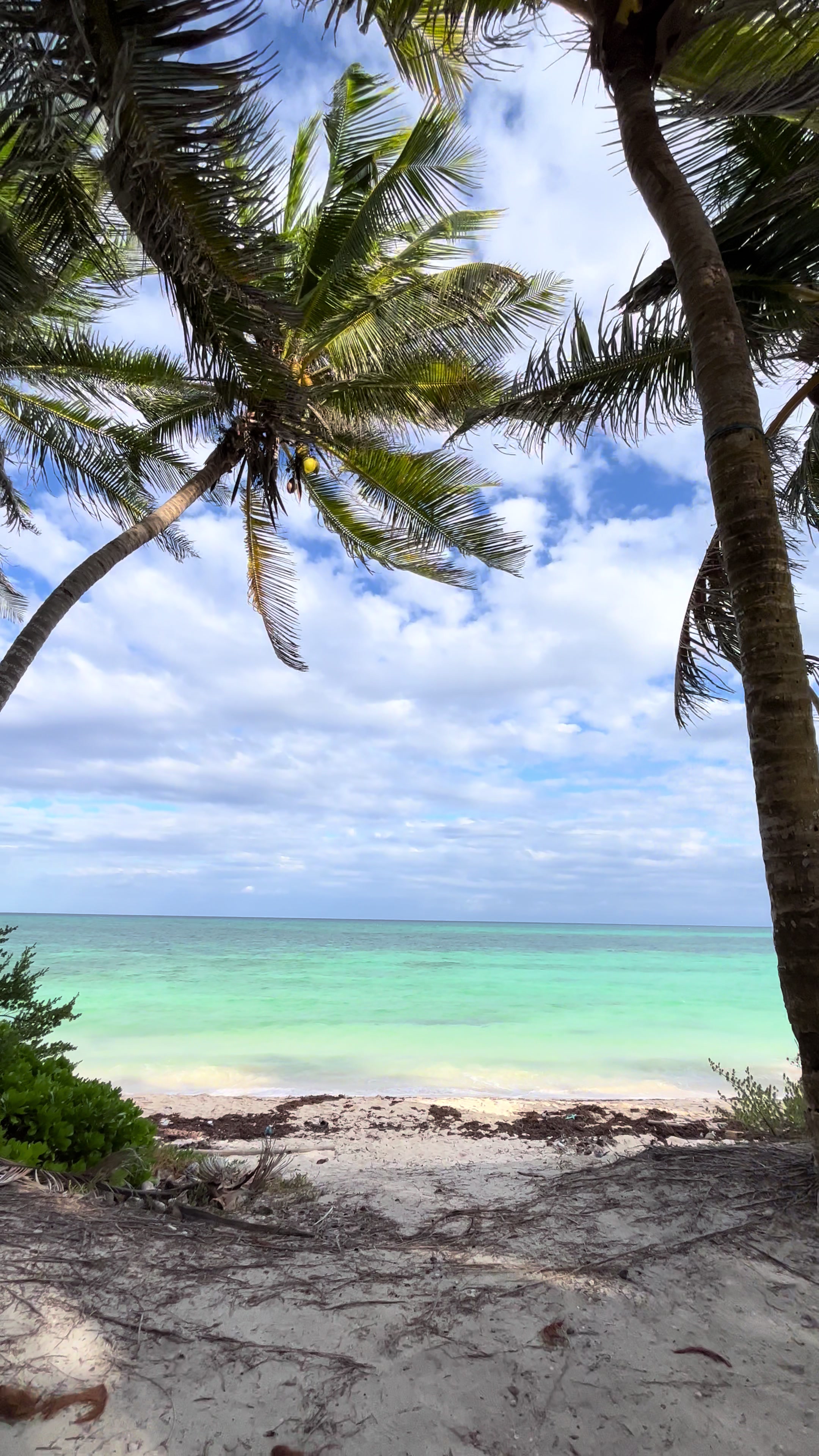 Sian Ka'an Biosphere Reserve