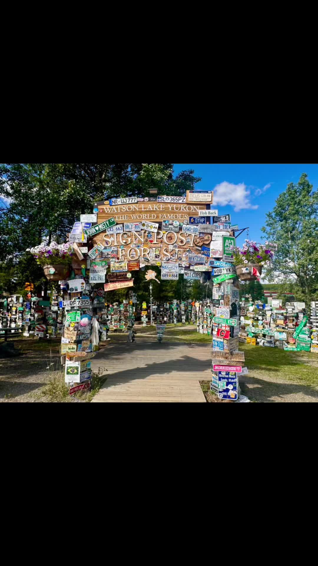Signpost Forest