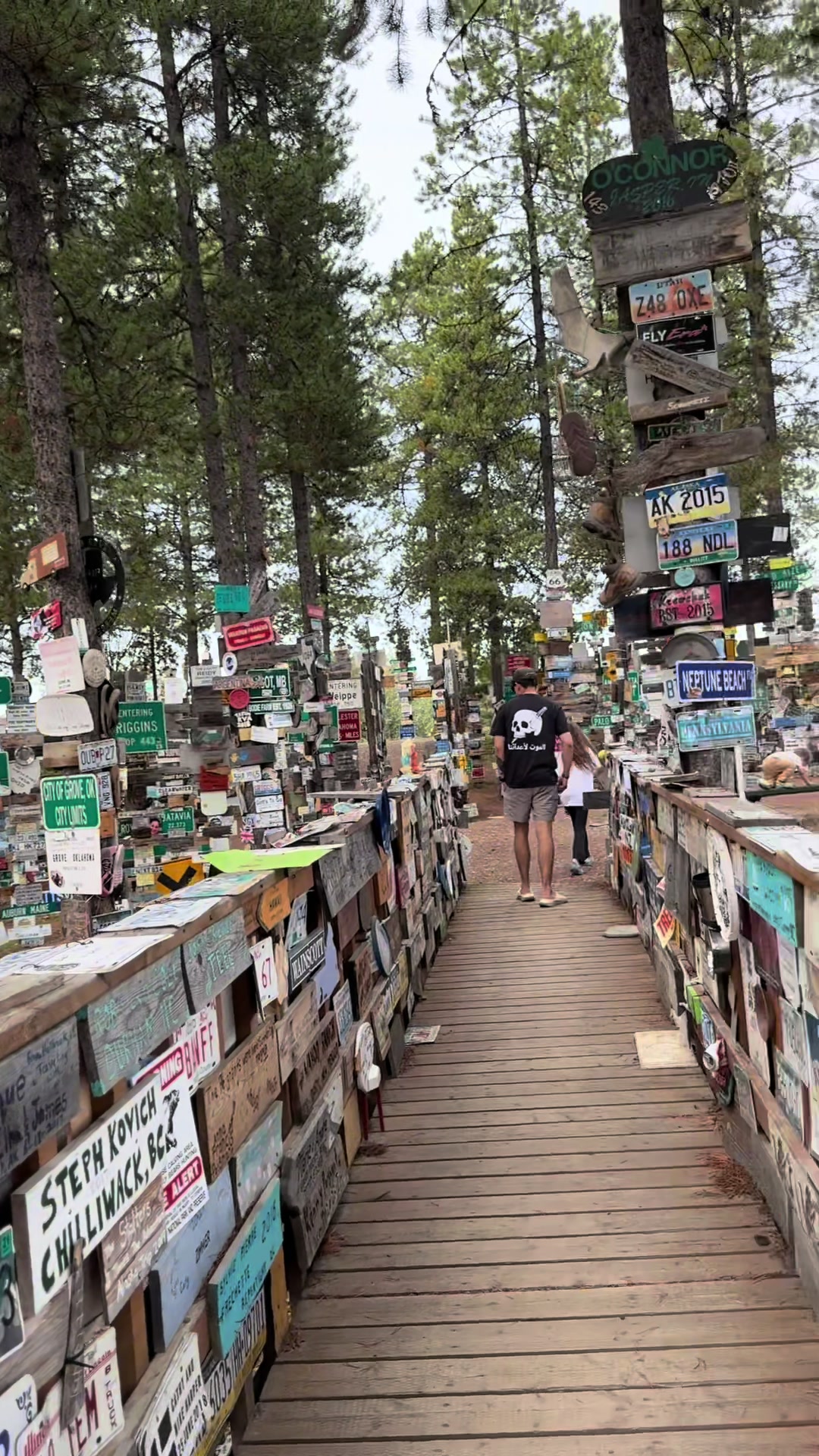 Signpost Forest