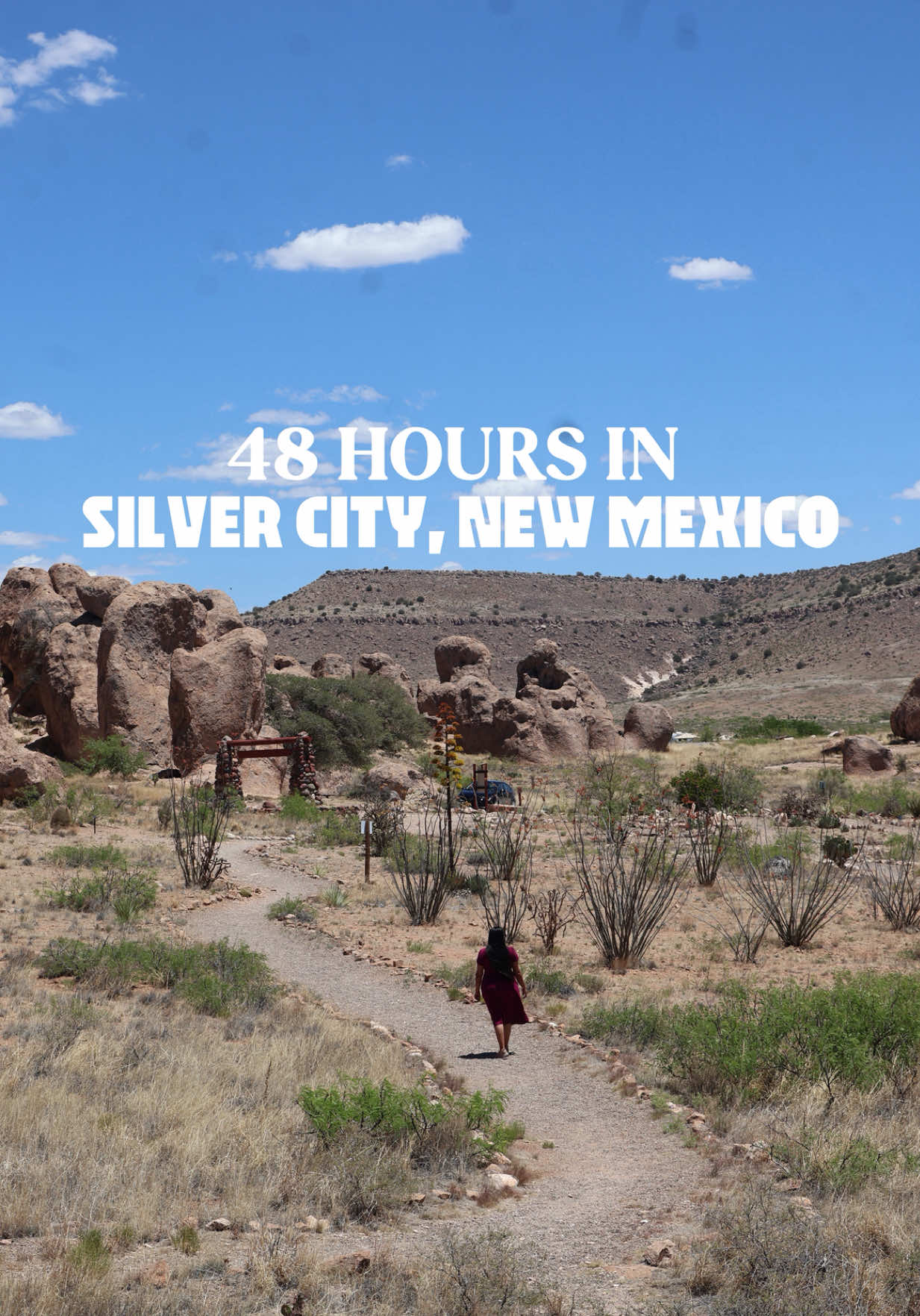 Silver City
