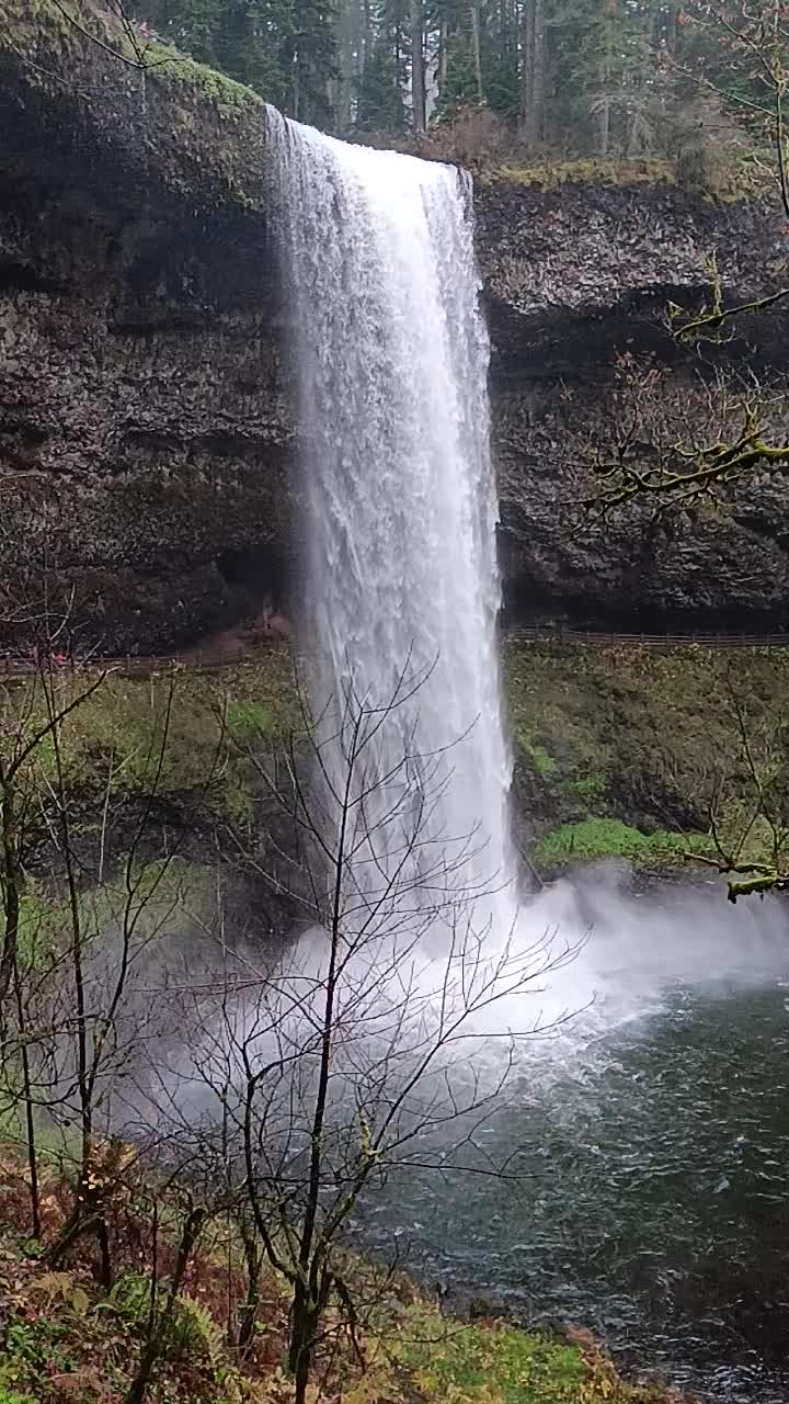 Silver Falls State Park