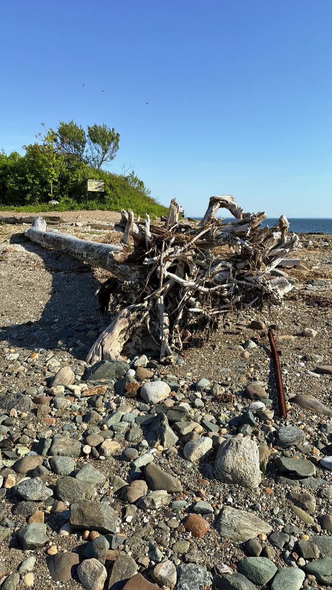 Silver Sands State Park