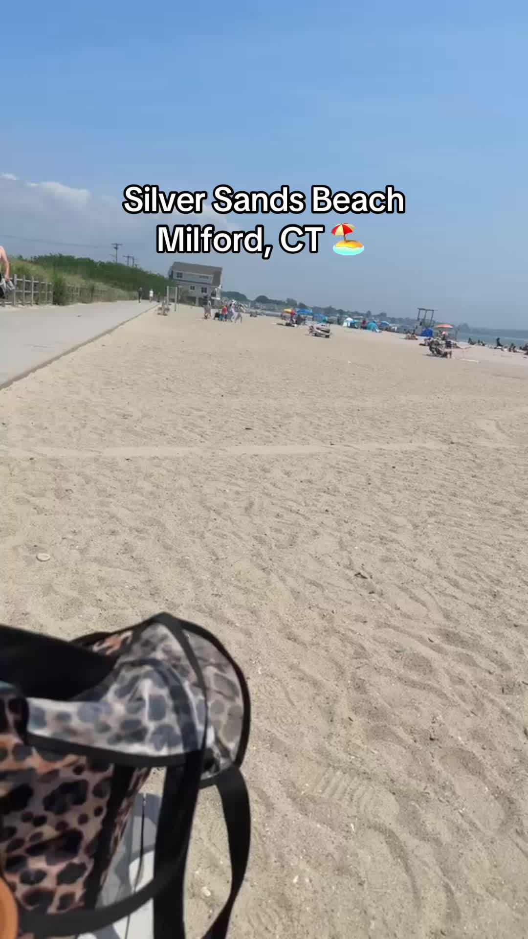 Silver Sands State Park